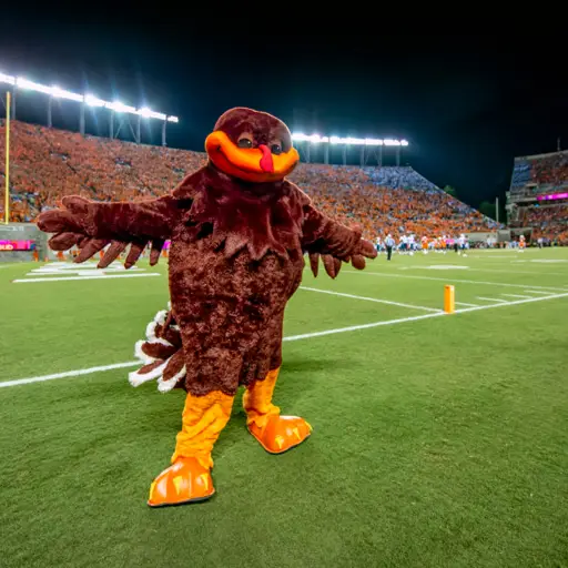 HokieBird Fan Hub official site icon featuring the HokieBird mascot